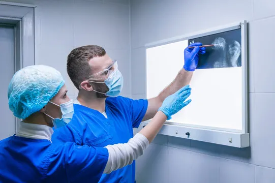 Neurologista veterinária em Curitiba