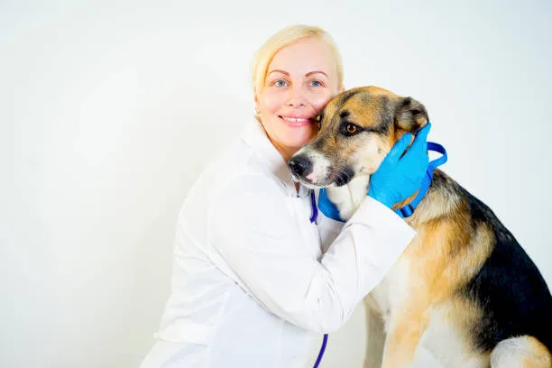 Neurologista veterinária no Bacacheri